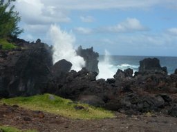 Visite de la petite cousine !
